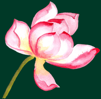 fleur l'Espace des Essences